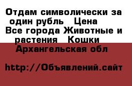 Отдам символически за один рубль › Цена ­ 1 - Все города Животные и растения » Кошки   . Архангельская обл.